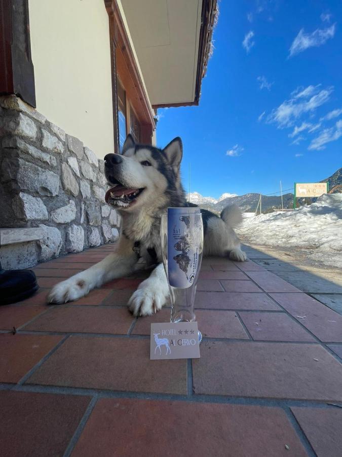 Al Cervo Albergo - Hotel Stabiziane Exteriér fotografie